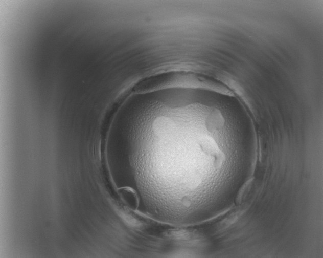 X0000072990253200607290021