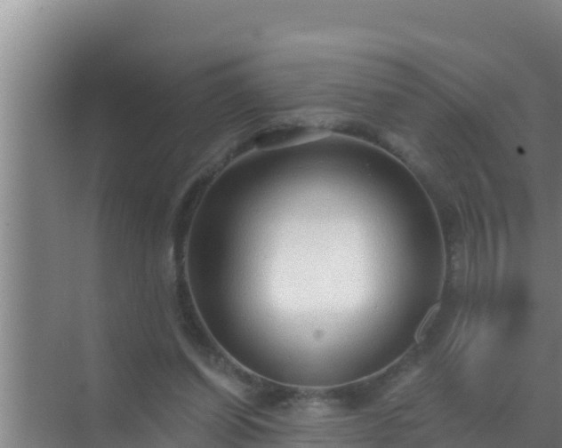 X0000072990254200607290021