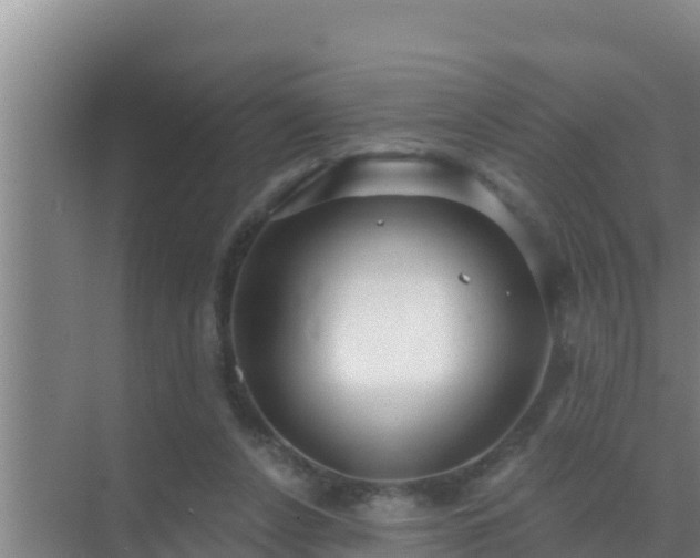 X0000072990256200607290021