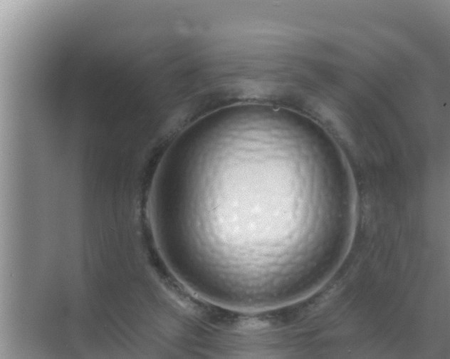 X0000072990257200607290021