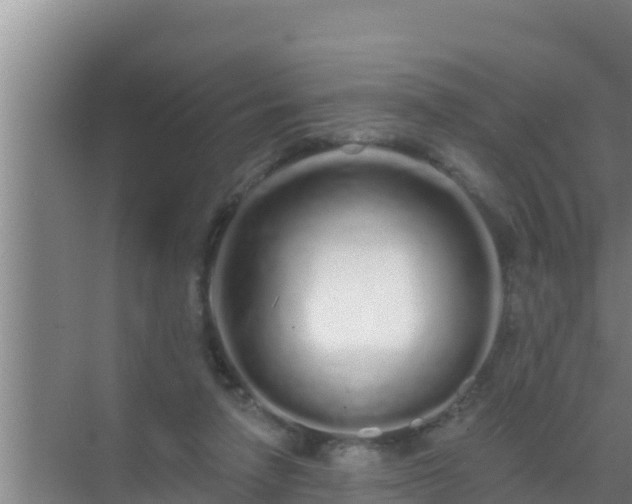 X0000072990258200607290021