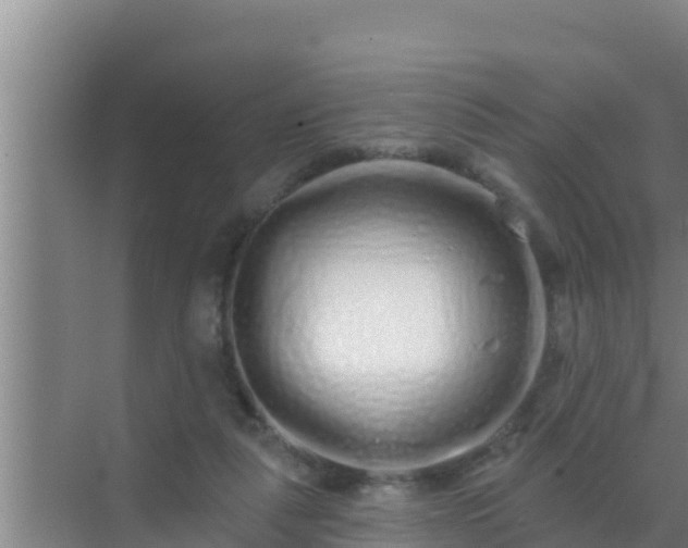 X0000072990259200607290021