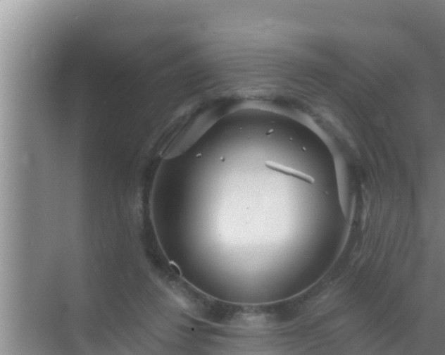 X0000072990260200607290021