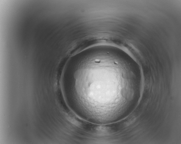 X0000072990261200607290021