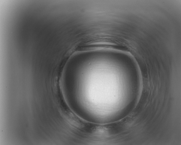 X0000072990263200607290021