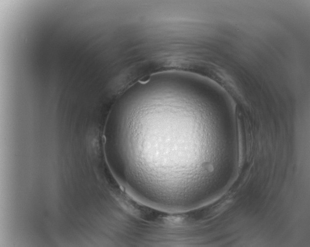 X0000072990265200607290021