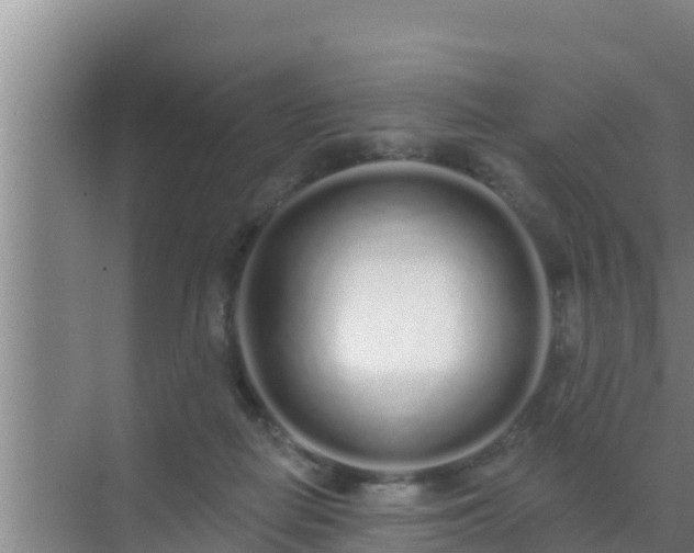 X0000072990266200607290021