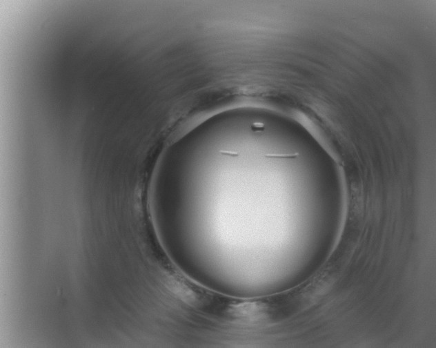 X0000072990269200607290021