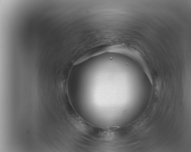 X0000072990276200607290021