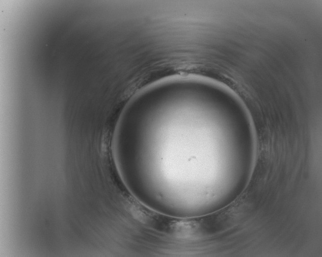 X0000072990277200607290021