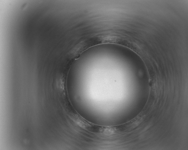 X0000072990282200607290022