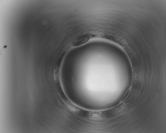 X0000072990285200607290022