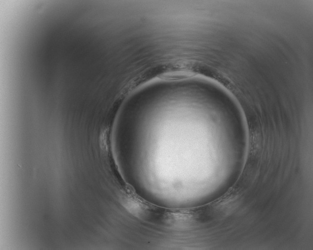 X0000072990286200607290022