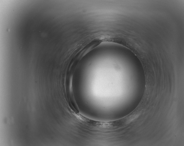 X0000072990288200607290022