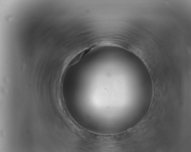 X0000072990289200607290021