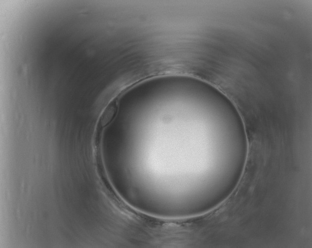 X0000072990290200607290021