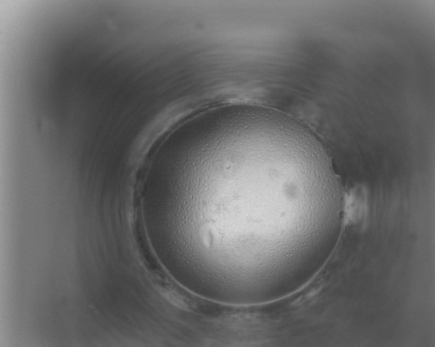 X0000072990291200607290021