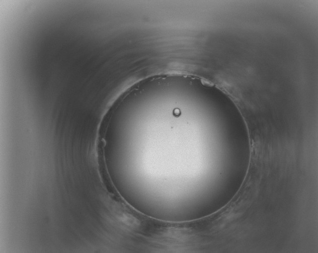 X0000072990292200607290021