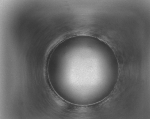 X0000072990293200607290021