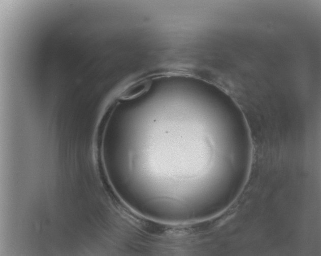 X0000072990294200607290021