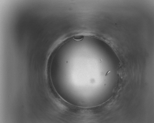 X0000072990296200607290021