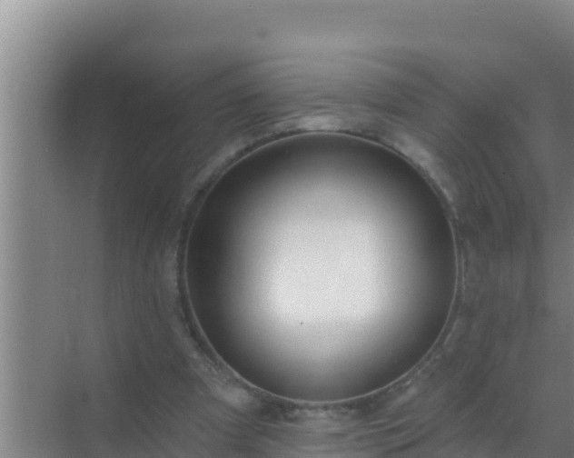 X0000072990297200607290021