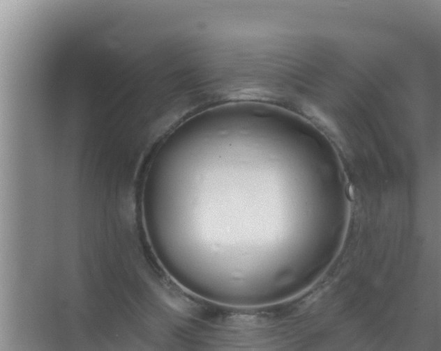 X0000072990298200607290021