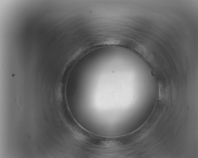 X0000072990300200607290021