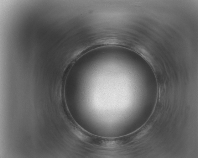 X0000072990301200607290021