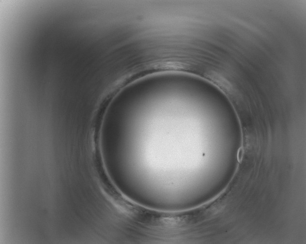 X0000072990302200607290021