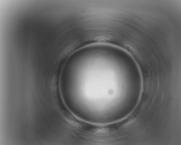 X0000072990303200607290021