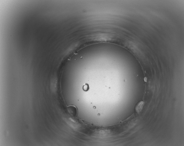 X0000072990304200607290021