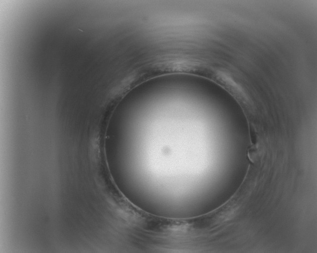 X0000072990306200607290021