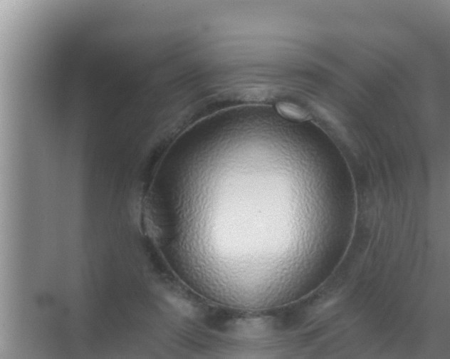 X0000072990307200607290021