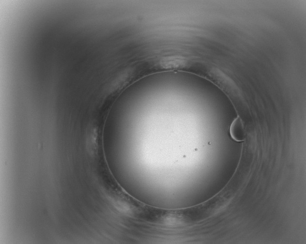 X0000072990308200607290021