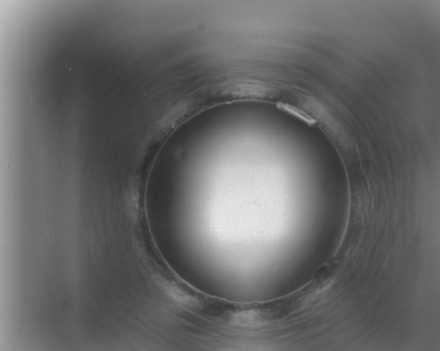 X0000072990309200607290021