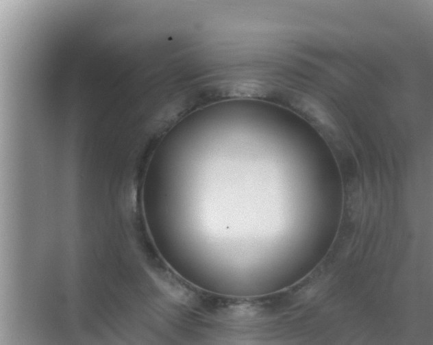 X0000072990310200607290020