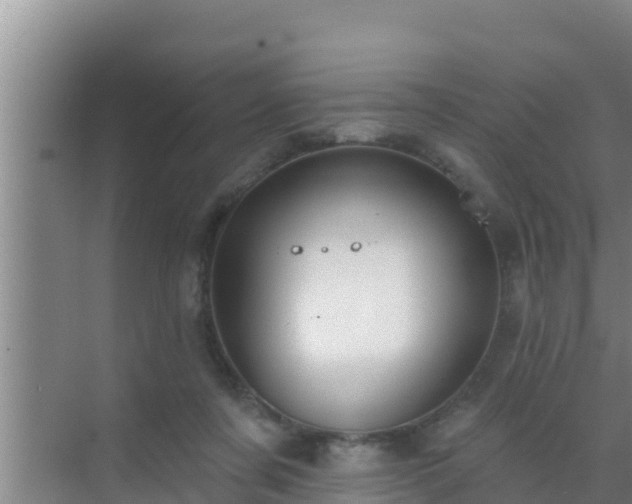 X0000072990311200607290020