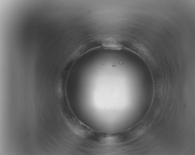 X0000072990312200607290020