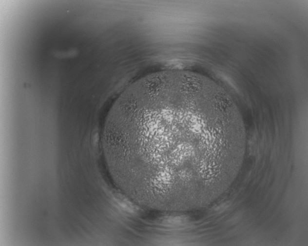 X0000072990314200607290020