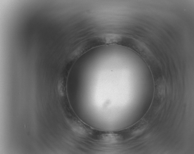 X0000072990316200607290020