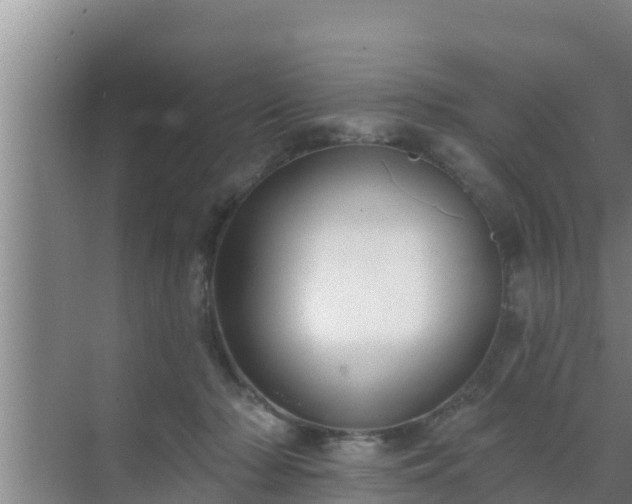 X0000072990318200607290020