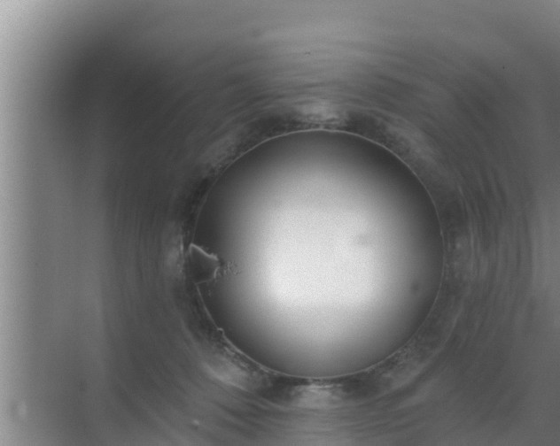 X0000072990320200607290020