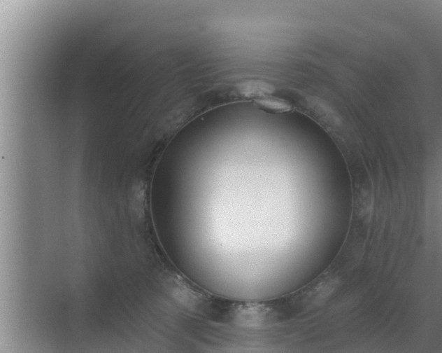 X0000072990321200607290020