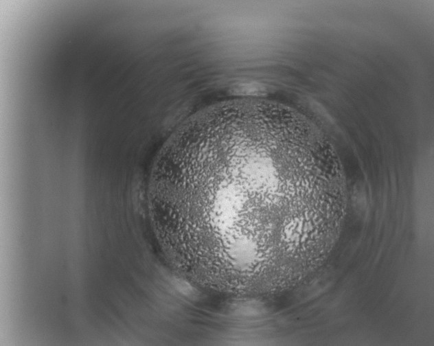 X0000072990322200607290020