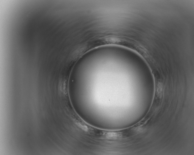 X0000072990330200607290020