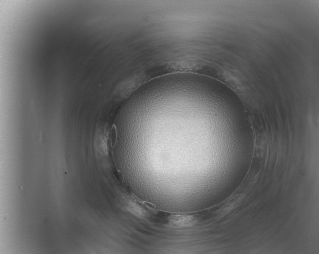 X0000072990334200607290020