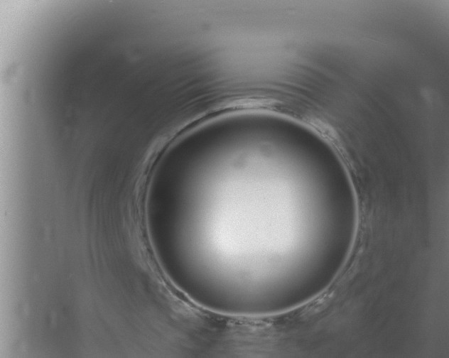 X0000072990337200607290019