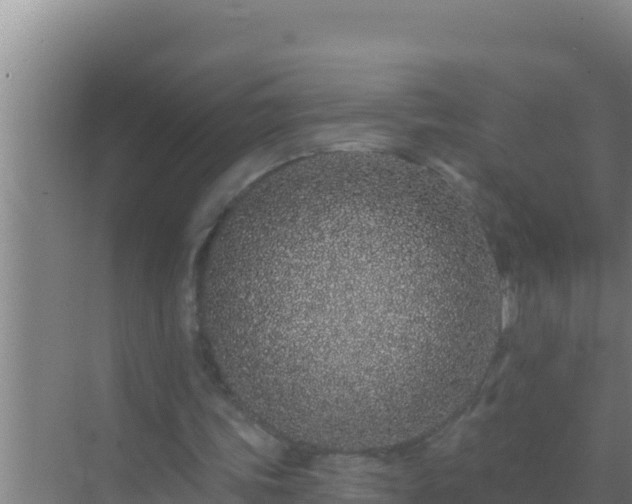 X0000072990339200607290019