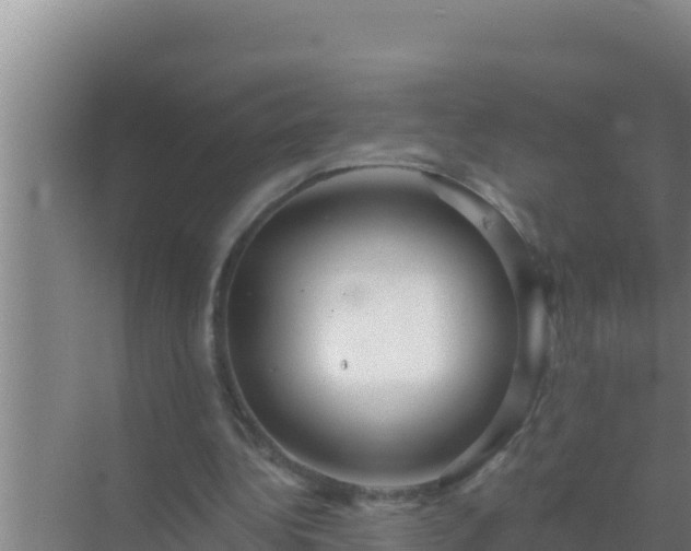 X0000072990340200607290019